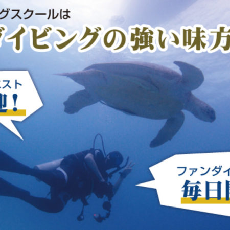 Padi初級cカード オープン ウォーター ダイバー ライセンス 取得コース Elearning講習 戸塚ダイビングスクール アウトドアスポーツトレーニング 講習 情報が見つかるポータルサイト Training Greenfield