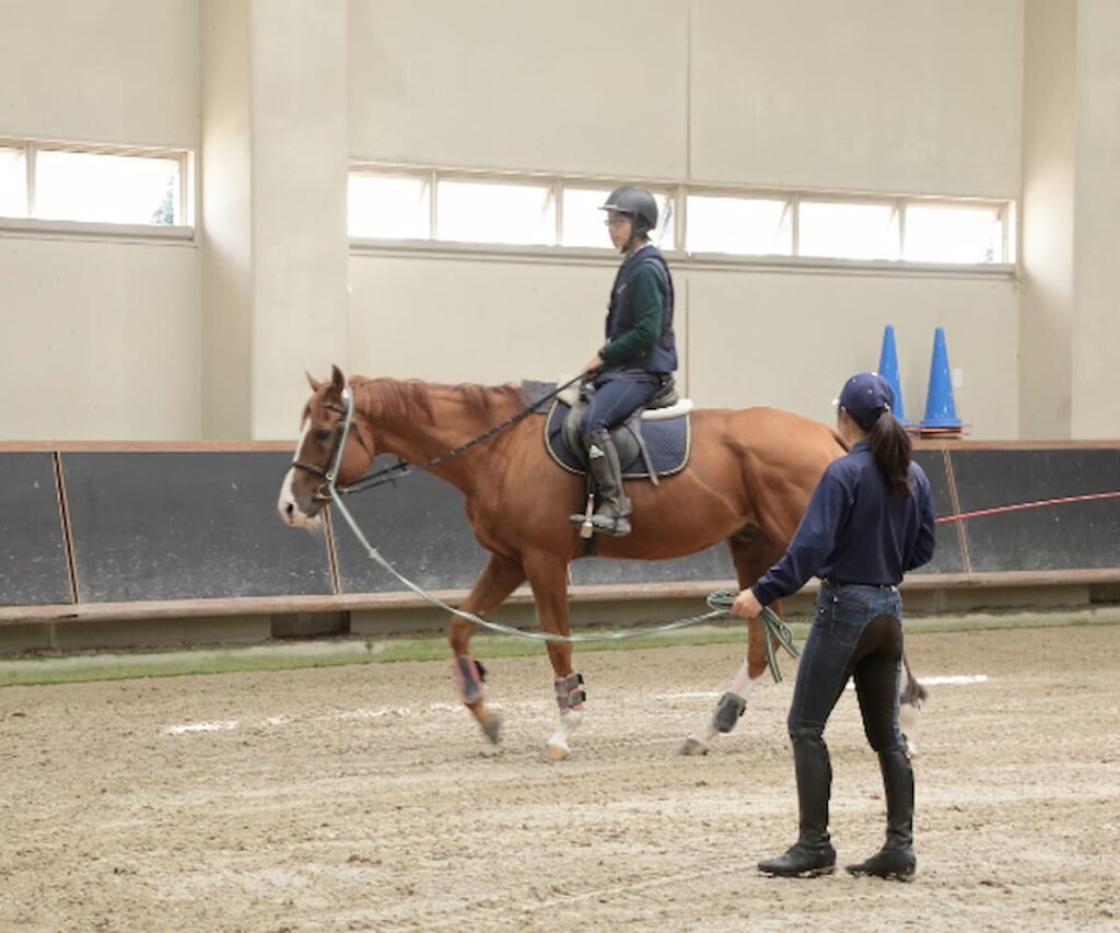 関西・近畿一の乗馬総合施設で乗馬体験が可能！『乗馬教室』／MIKIホーストレック