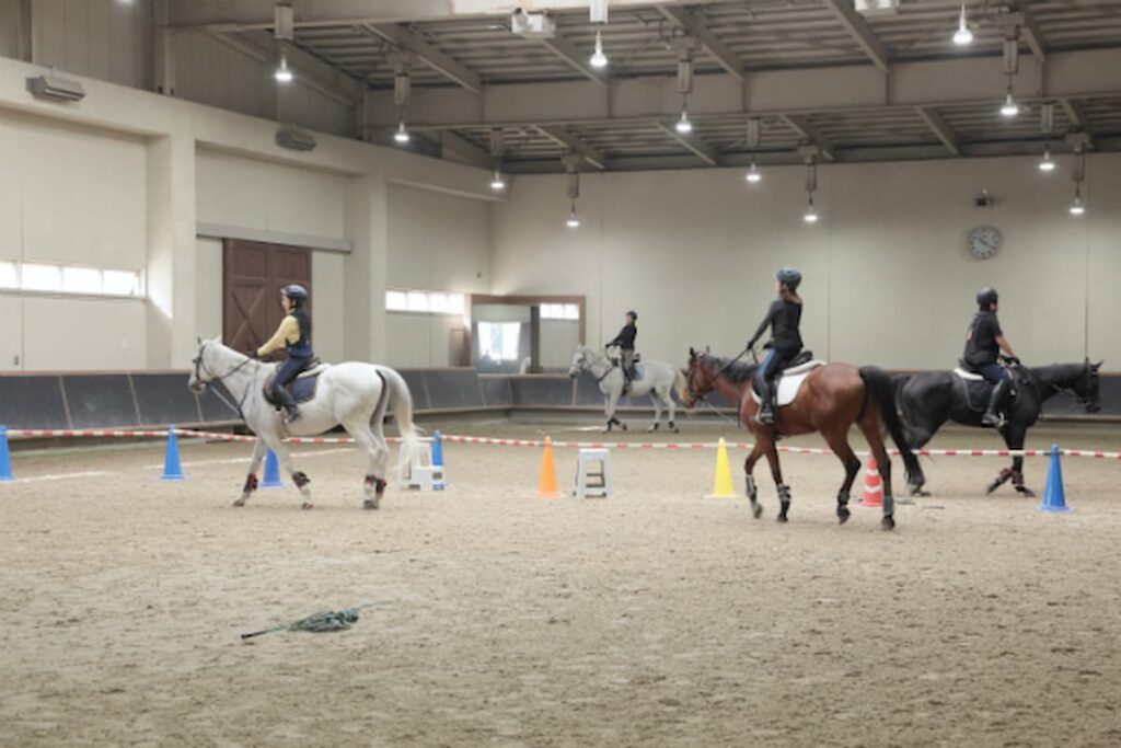 関西 近畿一の乗馬総合施設で乗馬体験が可能 乗馬教室 Mikiホーストレック アウトドアスポーツトレーニング 講習 情報が見つかるポータルサイト Training Greenfield