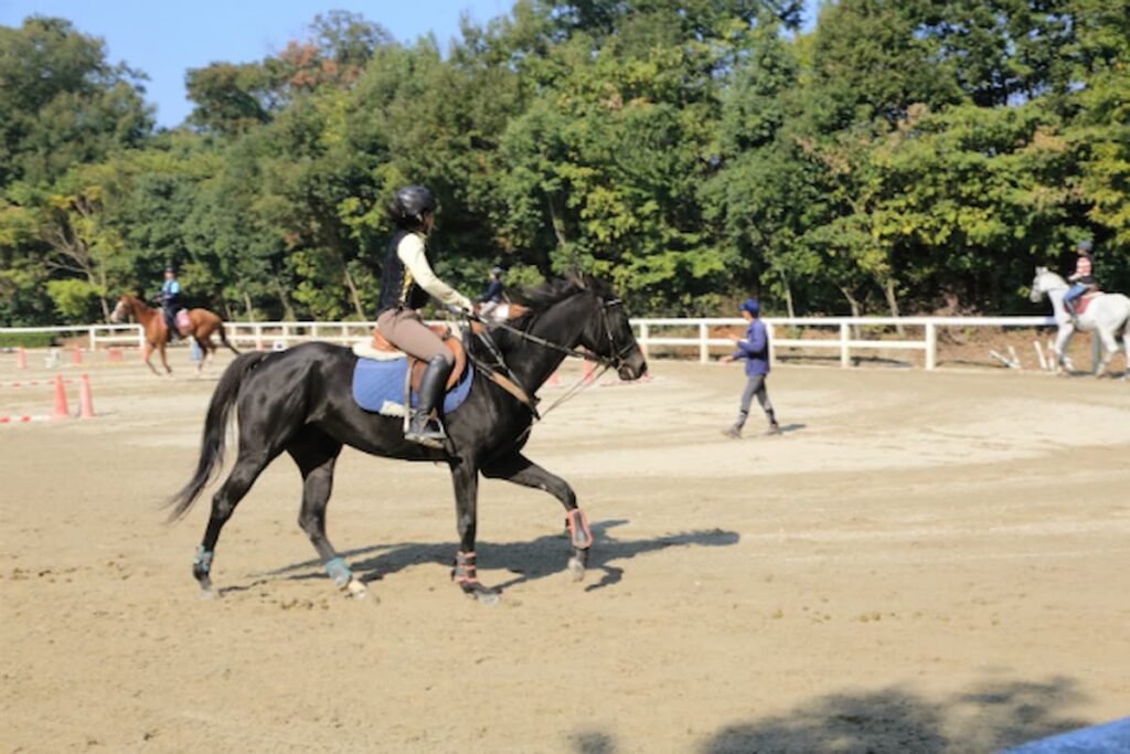 関西・近畿一の乗馬総合施設で乗馬体験が可能！『乗馬教室』／MIKIホーストレック