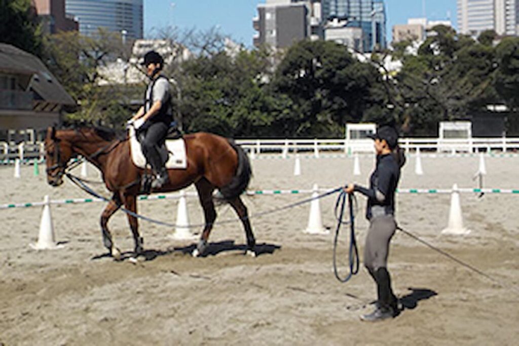 乗馬の基本を学べる初心者教室／東京乗馬倶楽部