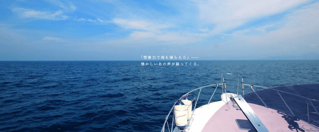 2級小型船舶操縦士免許【養成コース】／長崎サンセットマリーナ