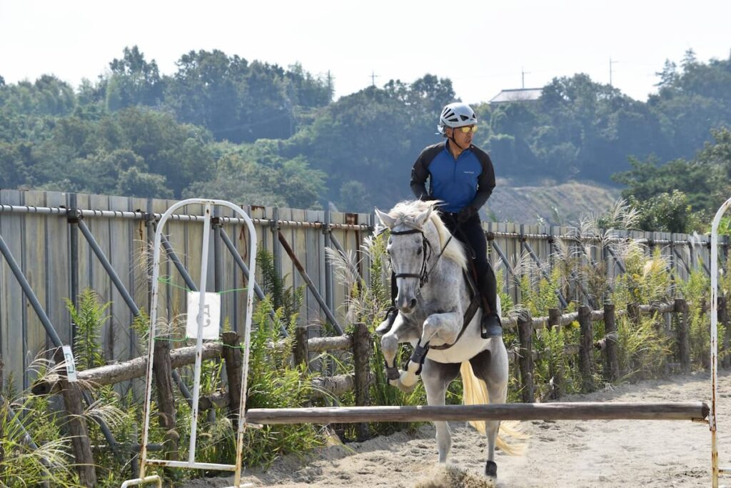 奈良県生駒の乗馬体験／フジライディングパーク
