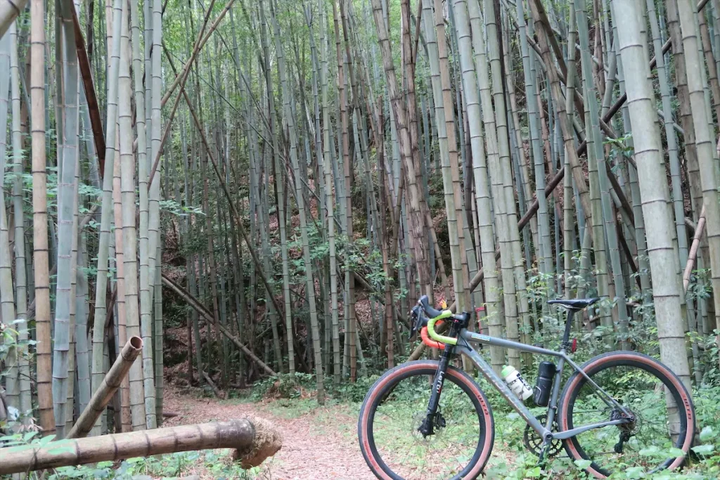 MountainBiking and GravelRiding マウンテンバイク、グラベルライド/OkeraAdventures SHIMANTO