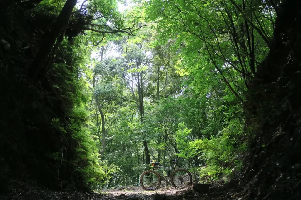 MountainBiking and GravelRiding マウンテンバイク、グラベルライド/OkeraAdventures SHIMANTO