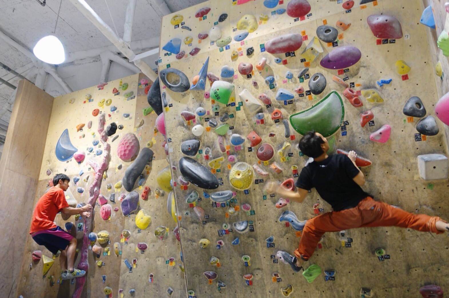 枚方でゆっくり楽しめる女性・初心者歓迎のボルダリング/travis