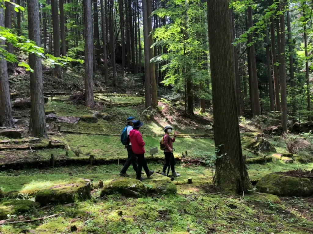 『歩行と森林のマインドフルネス』四美の森コース／ゆきあき・ウォーキング