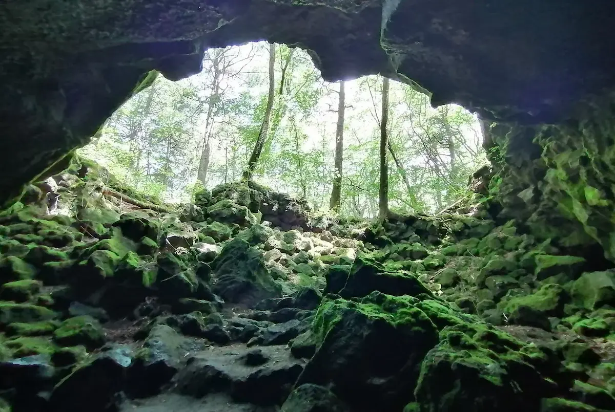 富士山を感じる“神秘の森”青木ヶ原樹海ツアー／A_STAND Mt,Fuji