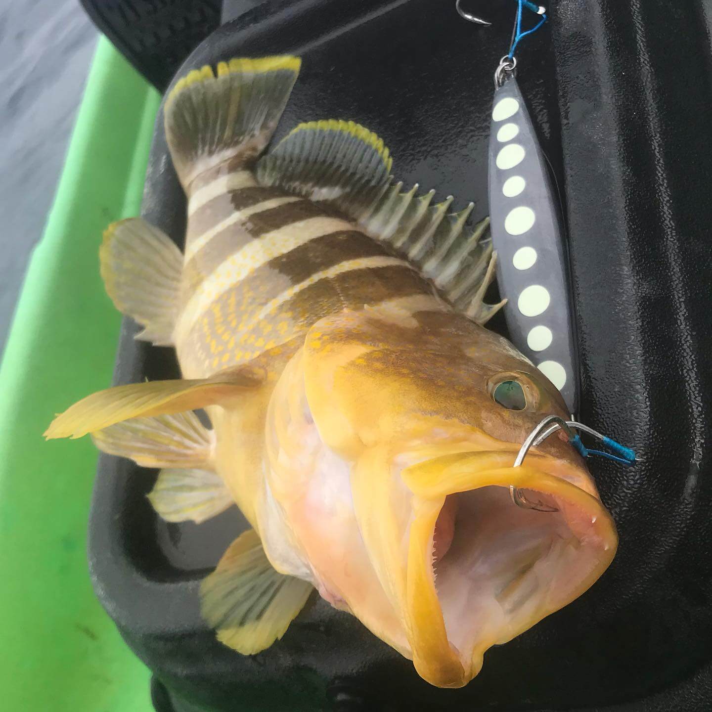 Nagi Fish カヤックフィッシング・パーソナルトレーニング/ベタナギ カヤックフィッシング | アウトドアスポーツトレーニング(講習)情報が見つかるポータル ...
